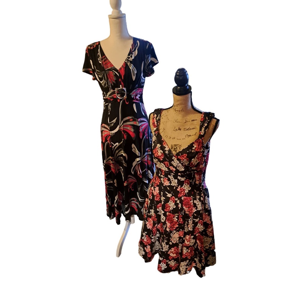 SPRING SALE! Two gorgeous Dresses Sz 10 - White House & Perception NY Lot 3
